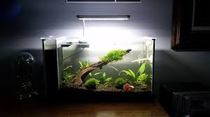 Robot Check Led Aquarium Lighting Planted Aquarium Aquarium