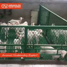 Hot Item Plastic Shed Grating Goat Slat Floor Goat Sheep Pig Plastic Slatted Flooring In 2020 Plastic Sheds Sheep Pig Shed