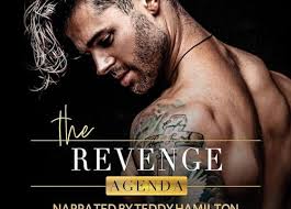 Recent Release Audio Book Review: The Revenge Agenda (Accidental Love, Book  3) by Saxon James (Author) and Teddy Hamilton (Narrator)