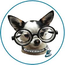 Our furry friends aren't just, well, friends. Pet Industry Insurance