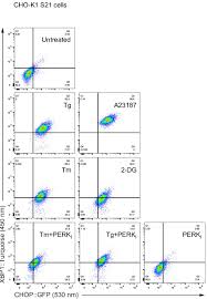 Maybe you would like to learn more about one of these? Calcium Depletion Challenges Endoplasmic Reticulum Proteostasis By Destabilising Bip Substrate Complexes Elife