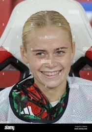 Smiling jay hi-res stock photography and images