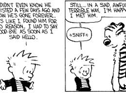 *** please refer to our size guide in the pictures to help you visualize which blanket will suit your needs. 25 Great Calvin And Hobbes Strips Progressive Boink