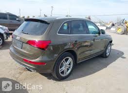 Image result for Maya Brown 2014 Q5