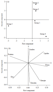 Image result for Ochthocharis dicellandroides