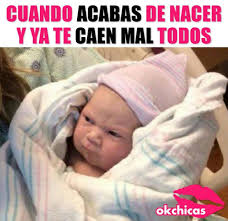 Pin De Pablodelacruzf En Chistes Humor De Bebe Memes Divertidos Memes De Bebe