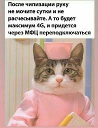 И тут же «посыпались» одинаковы вопросы, на которые попробую ответить. Koronavirus Krasnoe Vino I Fistashki Mogut Oblegchit Protekanie Covid 19 Novostnoj Portal Ulyanovska 73online Ru