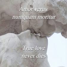 Amor Verus Numquam Moritur Il Vero Amore Non Muore Mai Vero Amore Funny Amore