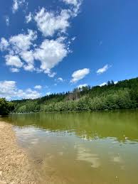 Image result for v no%u010Dn  p%u0159 n %u010Dka