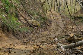 Hatfield Mccoy Trails Beast Of The East Dirt Toys Magazine