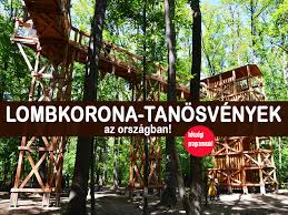 A kulcsosházban egész évben erdei iskola működik. Lombkorona Tanosvenyek Varazslatos Setanyok Az Orszagban Ahol A Lombkoronak Kozott Setalhatsz Szulok Lapja