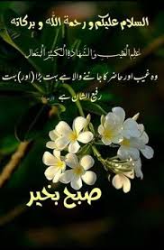 Image result for tbn:fWFGfe7mxNEQKM::www.feamman.com/wallpapers/Img-82755.jpg