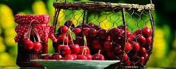 Confitures En Provence Provence 7