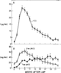 Levels During Pregnancy Online Charts Collection