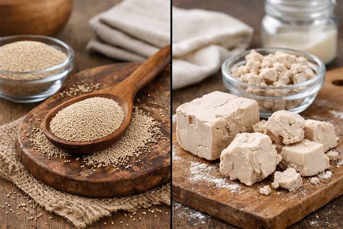 Yeast