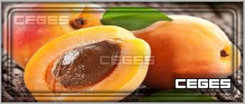 أعلنت عدد من الدول العربية مساء الثلاثاء عن تعذر رؤية الهلال، مما يجعل غدا الأربعاء مكملا لشهر رمضان، وبعد غد الخميس الـ13 من مايو من جهته، أعلن ديوان الوقف السني في العراق اليوم الثلاثاء أن يوم الخميس المقبل أول أيام عيد الفطر. ØªÙØ³ÙŠØ± Ø­Ù„Ù… Ø±Ø¤ÙŠØ© Ø§Ù„Ù…Ø´Ù…Ø´ ÙÙŠ Ø§Ù„Ù…Ù†Ø§Ù…