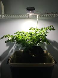 If you are building a medium or large lamp, i recommend heatsinkusa 5.88 profile. Build An Led Cob Grow Light Led Gardener