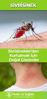 Sivrisinekler Den Kurtulmak Icin Dogal Ve Bitkisel Cozumler Dogal Saglik Ve Dogal Saglik