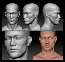 Bruce Lee Base Mesh Sculpted In 3d Using Zbrush By Lotusart Female Face Drawing 3d Portrait Anatomy Sculpture