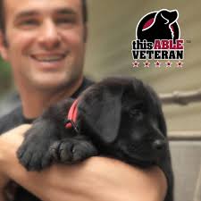 LHR Vets need help from Armour Vets