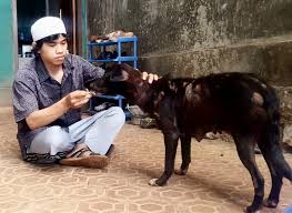 Belanja online anjing anjing warna hitam terbaik, terlengkap & harga termurah di lazada indonesia | bisa cod 103 barang ditemukan untuk anjing anjing warna hitam. Heboh Santri Menolong Anjing Sakit Ini Penjelasannya Mengutip Dari Ulama Dan Hadits Shahih