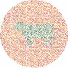 The enchroma color blind test is the leading online proprietary screening test developed by enchroma to help parents learn if their child is color blind in just 2 minutes. Color Blind Test For Kids