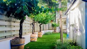 cour de jardin de ville gazon synthetique laurier rose et pieds de vignes idee jardin paysagiste amenagement jardin architecte paysagiste