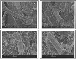Ahmad fadzil bin abdullah 40.en. Development Of Biodegradable Composites With Treated And Compatibilized Lignocellulosic Fibers Tserki 2006 Journal Of Applied Polymer Science Wiley Online Library
