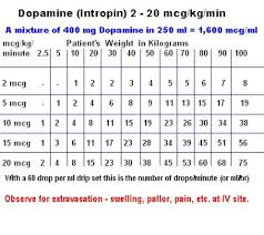 Dopamine Nice Packaging Rogue Medic