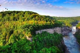 Time to gather your peanut butter and jelly, your grapes, your oreos, and whatever else you think would be good to eat on a picnic. 12 Of The Best Picnic Spots In New York State