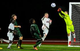 You vote: Who are the best goalies in Section III boys soccer?