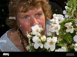 Jasmine Mock's Instagram, Twitter & Facebook