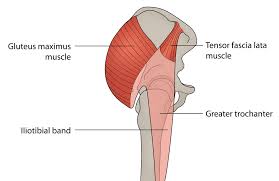 Repeated strains in muscles around the hip region may result in a sports hernia, also known as athletic pubalgia. Snapping Hip A Detailed Explanation