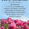 In occasione della festa della mamma presento qui di seguito una ampia raccolta di oltre 100 citazioni aforismi e frasi sulla mamma. 1