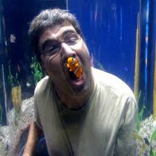 Boyd Adams (@racepix)