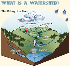 What Is A Watershed Science For Kids Watersheds Rocky Mountain Research Station Fisheries And Watershed