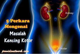 Sering kencing yang disertai demam, sakit punggung, muntah, ada pendarahan, atau keluar cairan dari alat vital saat berkemih bisa jadi tanda penyakit. 5 Perkara Mengenai Masalah Kencing Kotor Bahayanya Sehingga Boleh Mengancam Nyawa