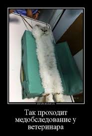 We did not find results for: Ju Vvdqixcxinm