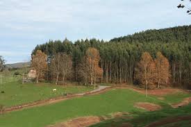 Güemes in cantabria (cantabria) is a city in spain about 210 mi (or 338 km) north of madrid, the country's capital. El Bosque Guemes Cantabria Mapio Net