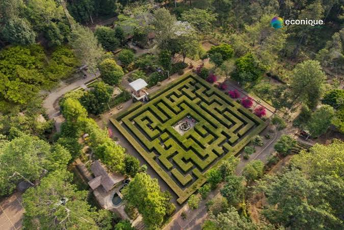 Coban Rondo Resort, Akomodasi dengan Beragam Aktivitas Wisata Alam – Econique Perhutani Alam Wisata