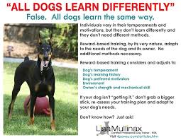 Positive Reinforcement Works For All Dogs Dog Training Dogs Dog Training Techniques