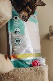 Purchase Pretty Litter Reviews Reddit Up To 71 Off