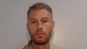 Cowardly hit and run driver who killed grandmother he knocked down while  she crossed a road before returning to the scene while pretending to be a  bystander is jailed for 20 months |