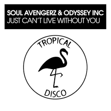The song was nominated for best dance recording at the 2013 grammy awards. Soul Avengerz Odyessey Inc Just Can T Live Without You By Tropical Disco Records