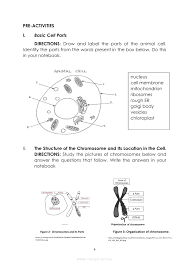 Parts of an animal cell grade 8. Cell Division Mitosis And Meiosis For Science Grade 8 Quarter 4 Week 2 Grade 8 Modules