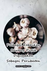 Namun, kebaikan bawang putih membuat dirinya tidak membenci ibu tirinya atau bawang merah. Mrs Pip The Reviewer