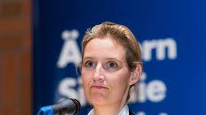 Weidel real estate is proud to partner with hitops adolescent health and education center through our community partners program. Alice Weidel Privat Freundin Und Sohne So Lebt Die Afd Politikerin News De
