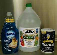 Vinegar kills crops and flowers as well as weeds, so take care any time you are spraying weeds around good plants. Salt Vinegar And Glyphosate A Plant Out Of Place