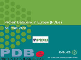 Its mission is to maintain a… Protein Databank In Europe Pdbe An Introduction Ebi