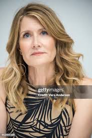 3 229 Laura Anderson Foton och högupplösta bilder